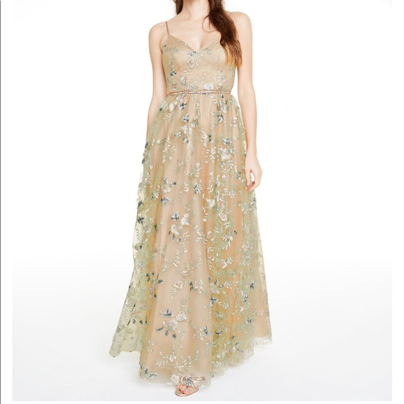 NWT TLC Say yes to the Prom Nude Embroidered Dress - Picture 1 of 9